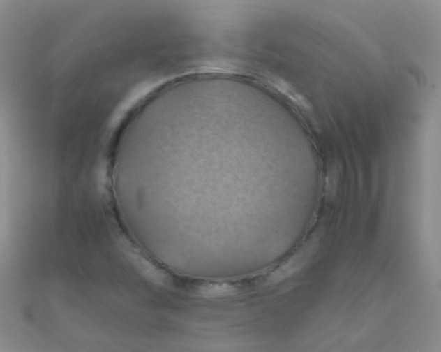 X0000110991454200907022107
