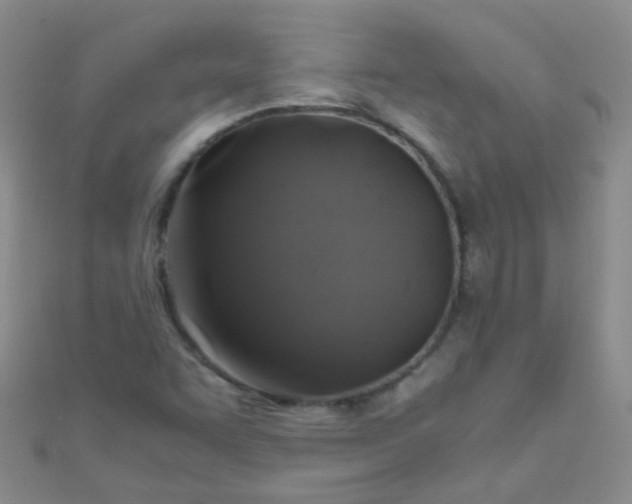 X0000110991455200907022107