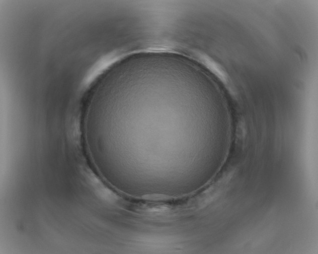 X0000110991456200907022107