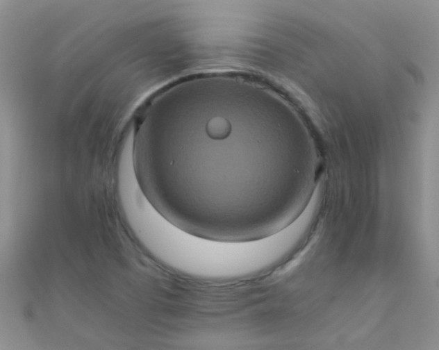 X0000110991457200907022107