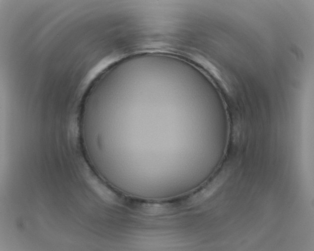X0000110991458200907022107