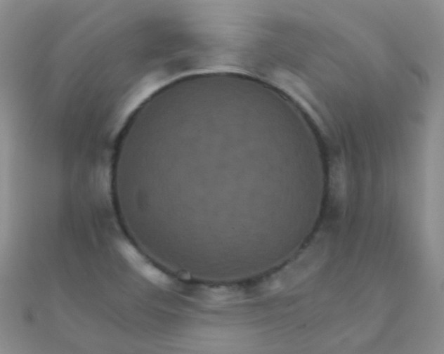 X0000110991460200907022107