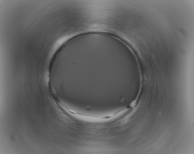X0000110991461200907022107