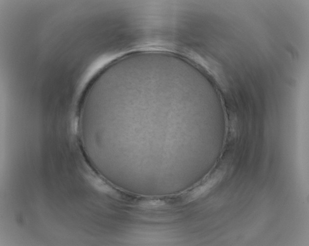 X0000110991462200907022107