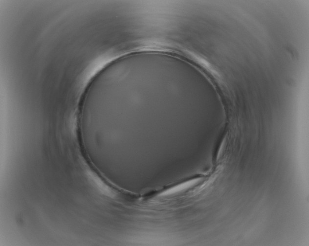 X0000110991463200907022107