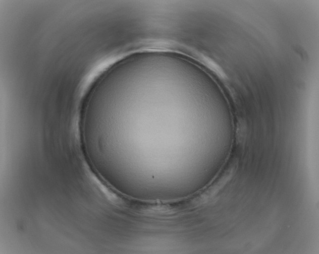 X0000110991464200907022107