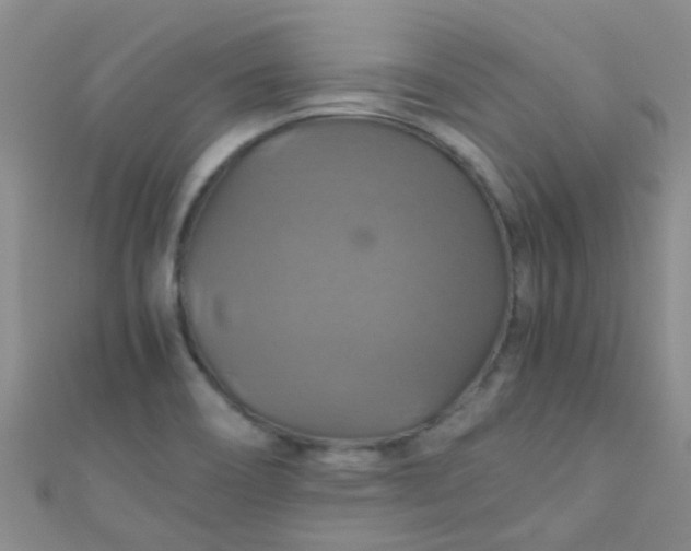 X0000110991466200907022107