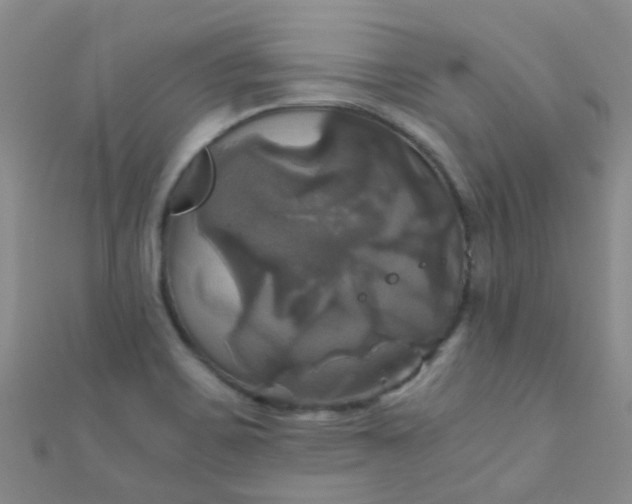 X0000110991467200907022107