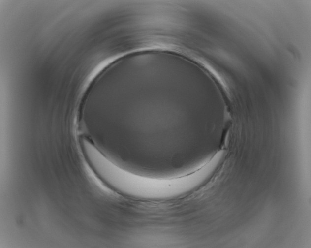 X0000110991468200907022107