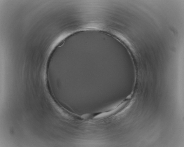 X0000110991469200907022107