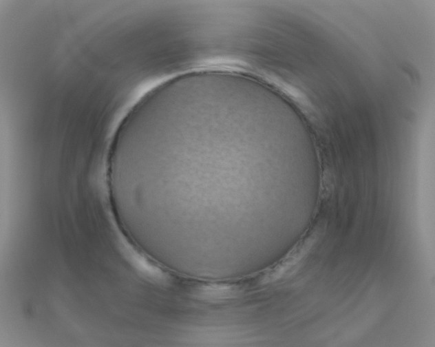 X0000110991470200907022107