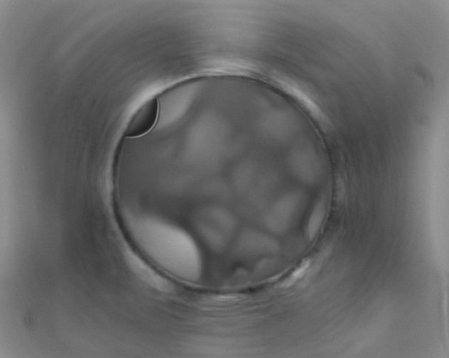 X0000110991471200907022107