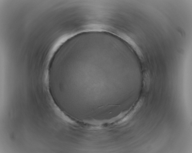 X0000110991472200907022107