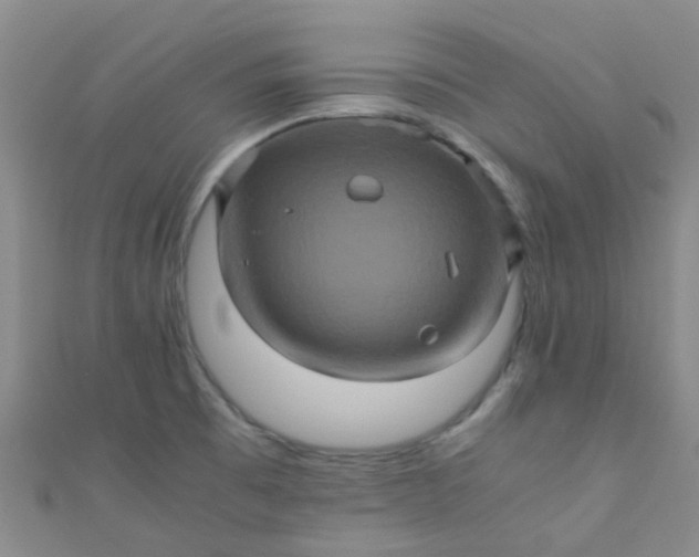 X0000110991473200907022107
