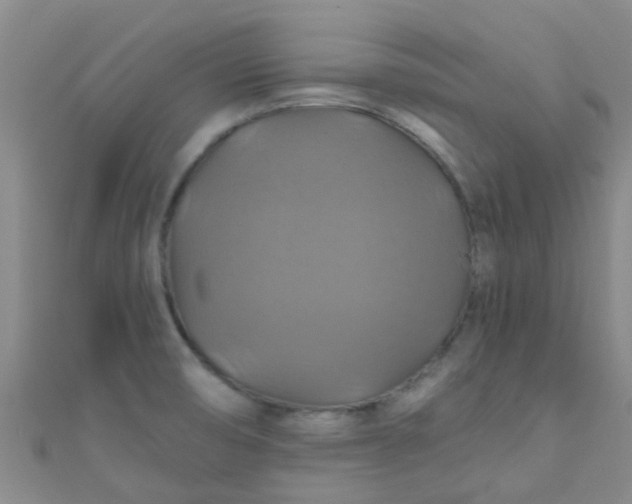 X0000110991474200907022107