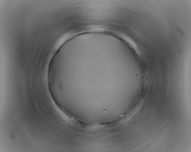 X0000110991475200907022107