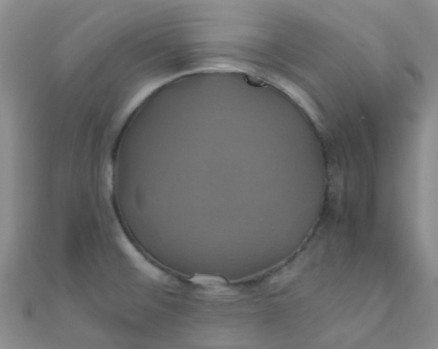 X0000110991476200907022107