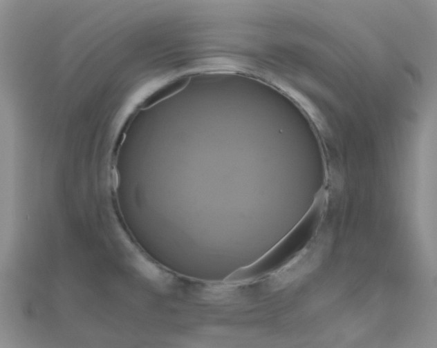 X0000110991477200907022107
