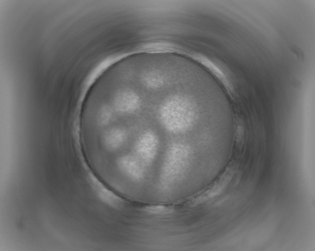 X0000110991478200907022107