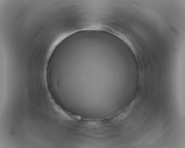X0000110991480200907022107