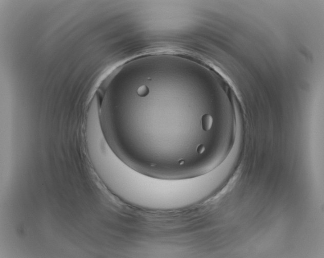 X0000110991481200907022107