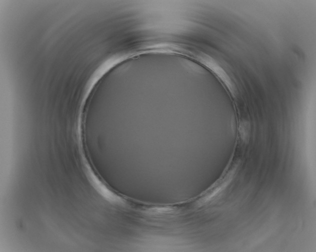 X0000110991482200907022107