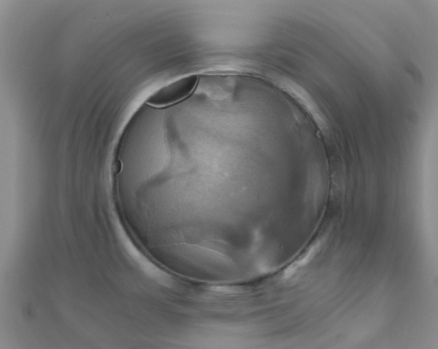 X0000110991483200907022107