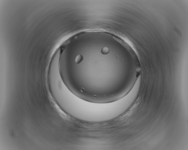 X0000110991485200907022107