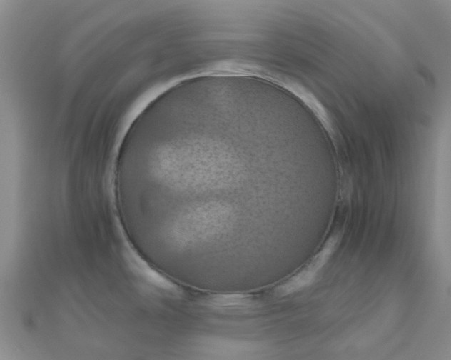 X0000110991486200907022106
