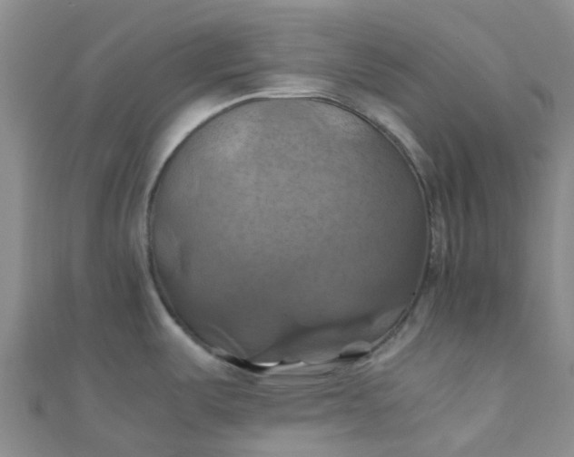 X0000110991487200907022106