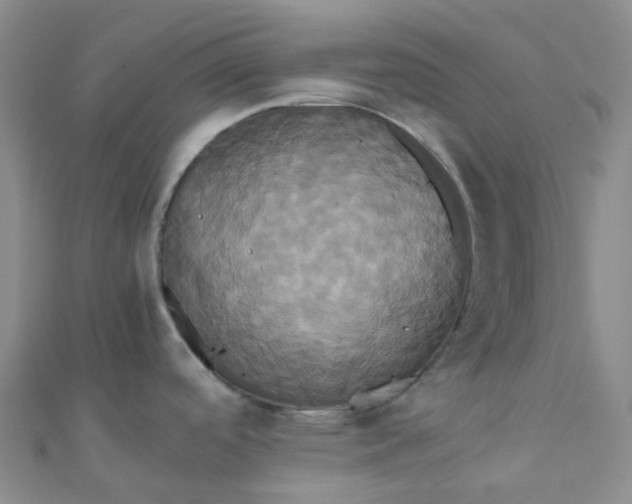X0000110991488200907022106