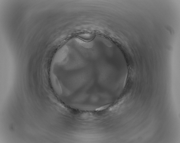 X0000110991489200907022106