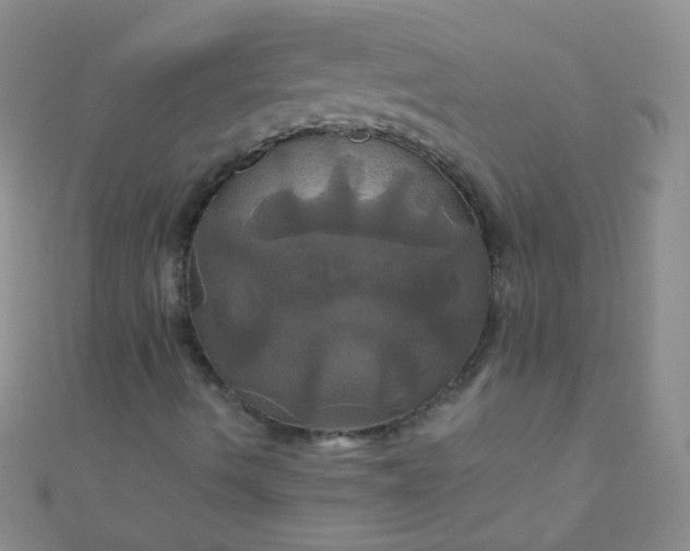 X0000110991490200907022106