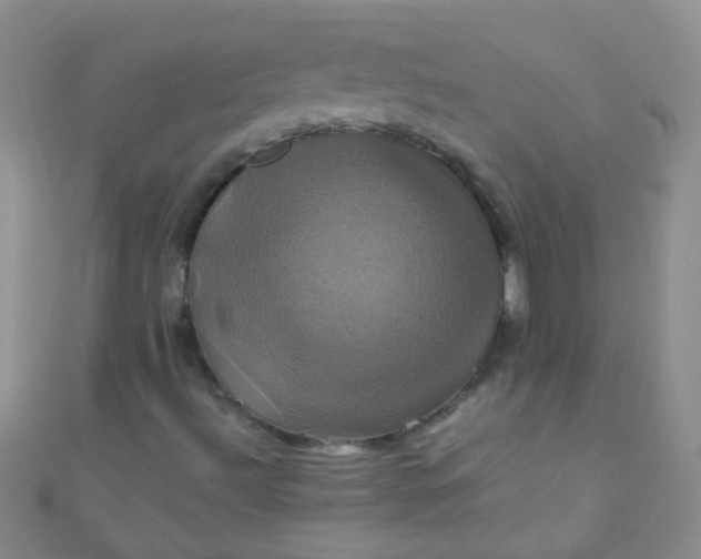 X0000110991492200907022106