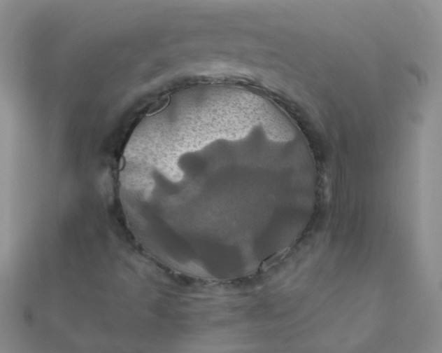 X0000110991493200907022106