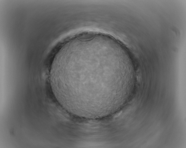X0000110991495200907022106