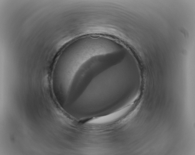 X0000110991497200907022106