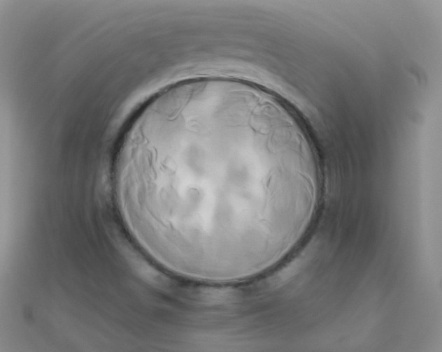 X0000110991498200907022106