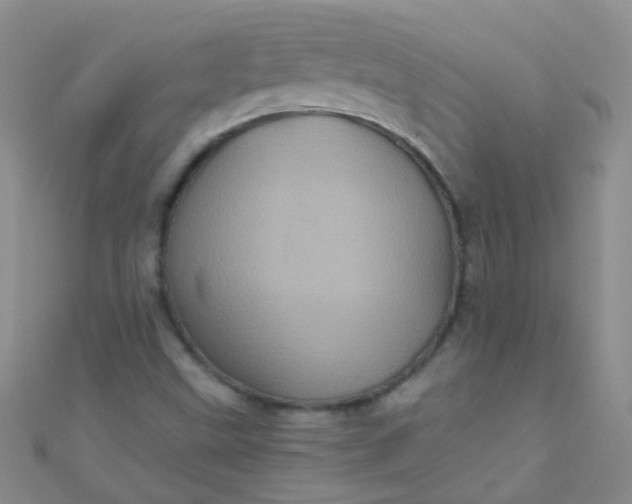 X0000110991499200907022106