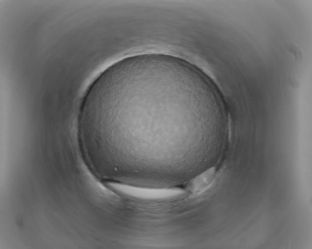 X0000110991500200907022106