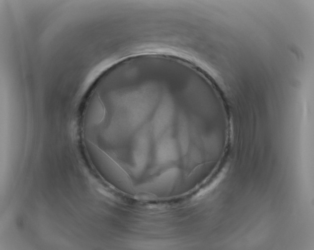 X0000110991501200907022106