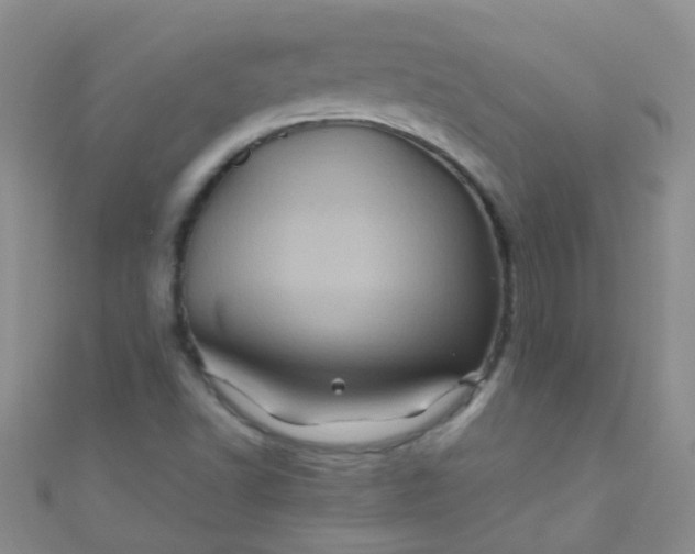 X0000110991502200907022106