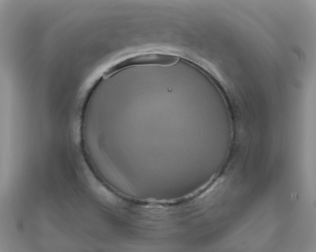 X0000110991504200907022106