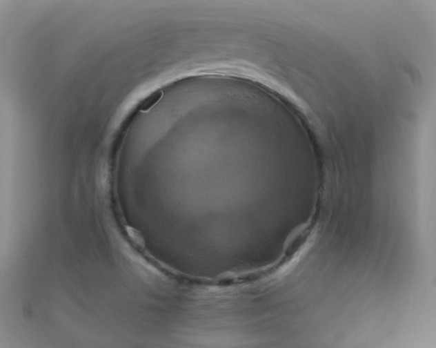 X0000110991506200907022106