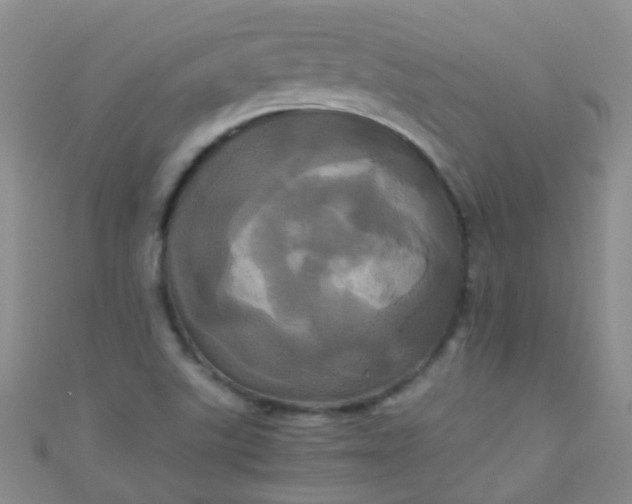 X0000110991507200907022106