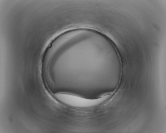 X0000110991508200907022106