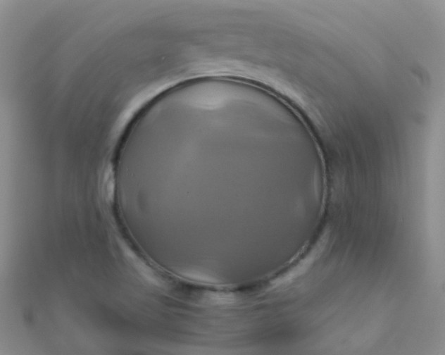 X0000110991509200907022106