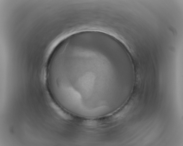 X0000110991511200907022106
