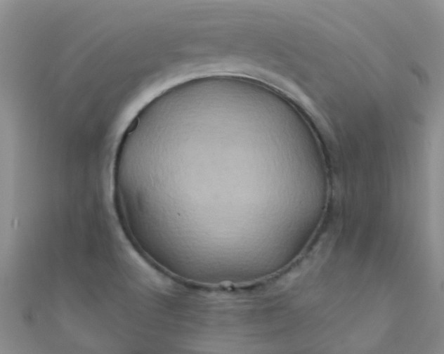 X0000110991512200907022106