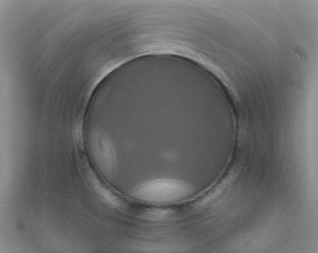 X0000110991513200907022106